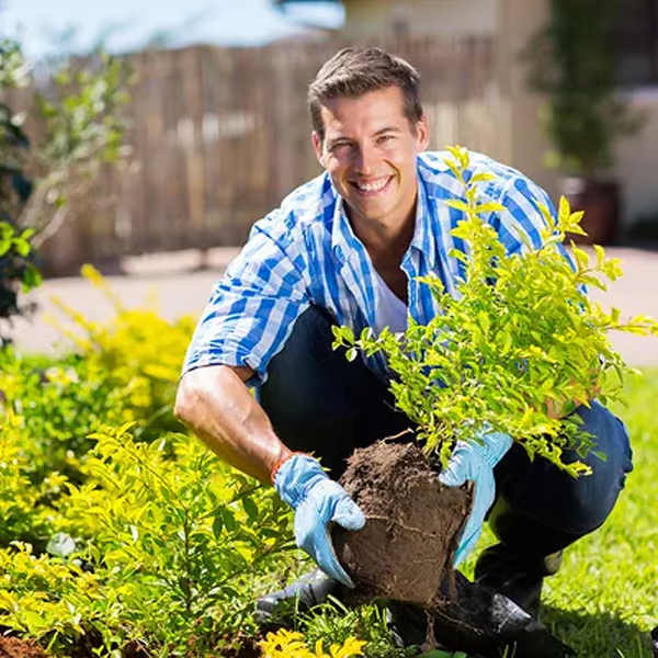 🔥Limited Sale - BUY 1 GET 1 FREE🔥Soil Improvement Loosening Agent