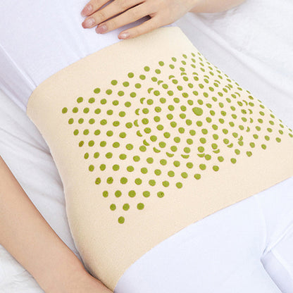 🦵 BUY 1 GET 1 FREE! ❄️ Women's Winter Waist Protector - High-Stretch & Warm, Seamless Design for All-Day Comfort Under Clothing 💃📦