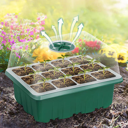 ⏰Limited offer 49% discount🔥Seed Starter Trays with Grow Light