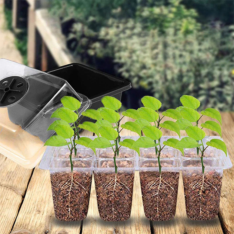 ⏰Limited offer 49% discount🔥Seed Starter Trays with Grow Light