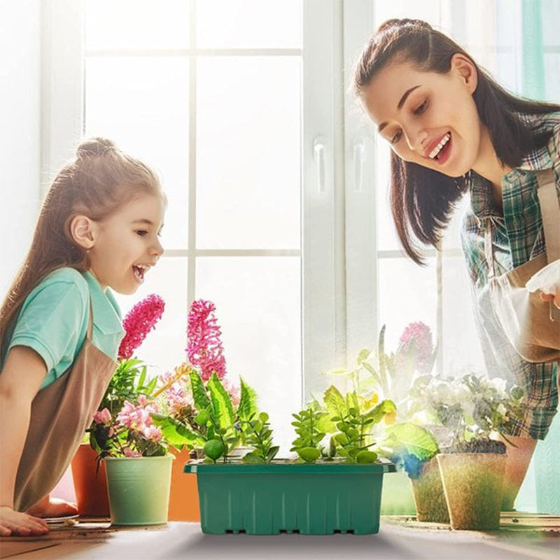 ⏰Limited offer 49% discount🔥Seed Starter Trays with Grow Light