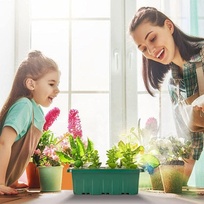⏰Limited offer 49% discount🔥Seed Starter Trays with Grow Light