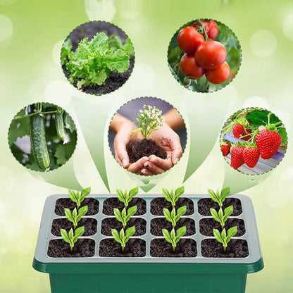 ⏰Limited offer 49% discount🔥Seed Starter Trays with Grow Light