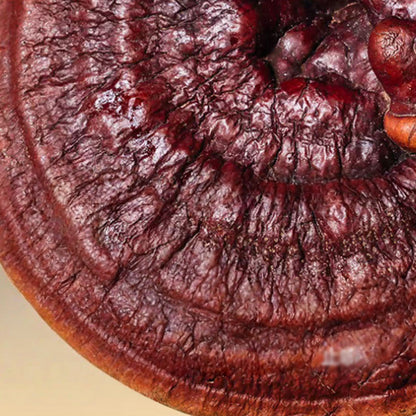 Firming & Radiance Anti-Aging Spray💦