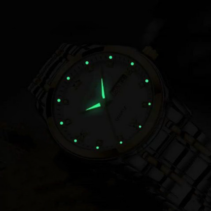 🔥Christmas Limited-Time Offer: 64% OFF!!!🔥Men's Two-Tone Waterproof Luminous Watch