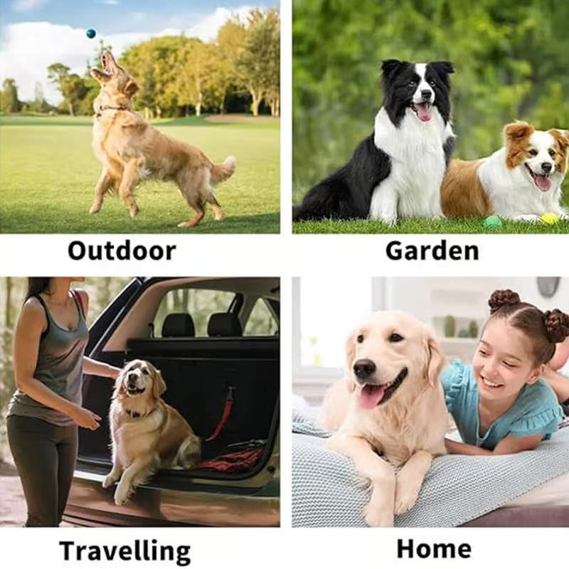 🐾50% OFF NOW!Convenient Efficient Pet Wash-Free Wipes Gloves