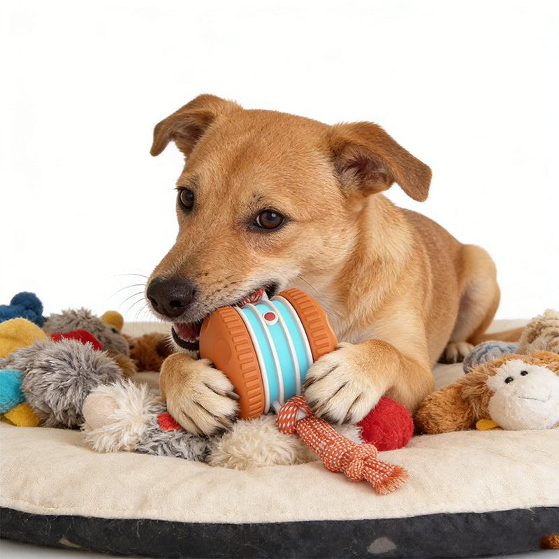 🎁2026 New Arrivals 50% OFF💥Interactive Rolling Ball Toy for Dogs