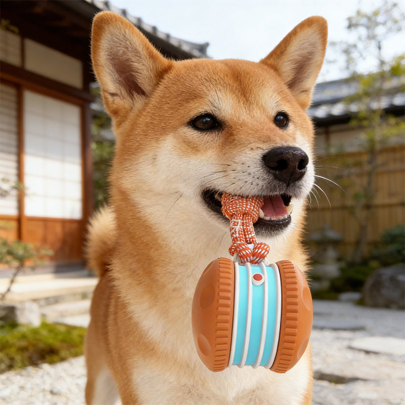 🎁2026 New Arrivals 50% OFF💥Interactive Rolling Ball Toy for Dogs