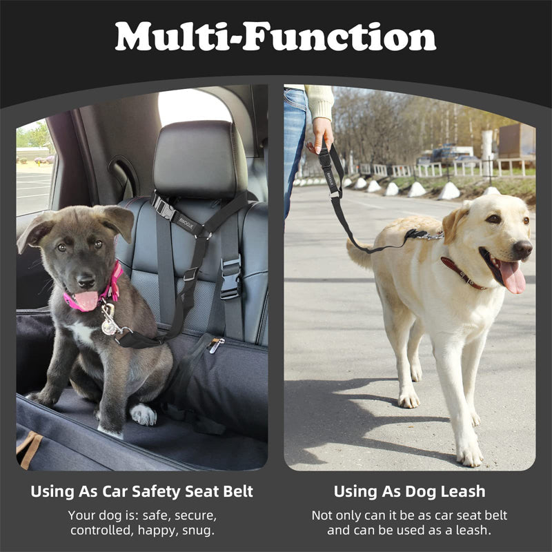 🎁2-in-1 Dog Car Seat Belt & Walking Leash