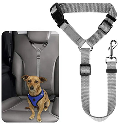 🎁2-in-1 Dog Car Seat Belt & Walking Leash