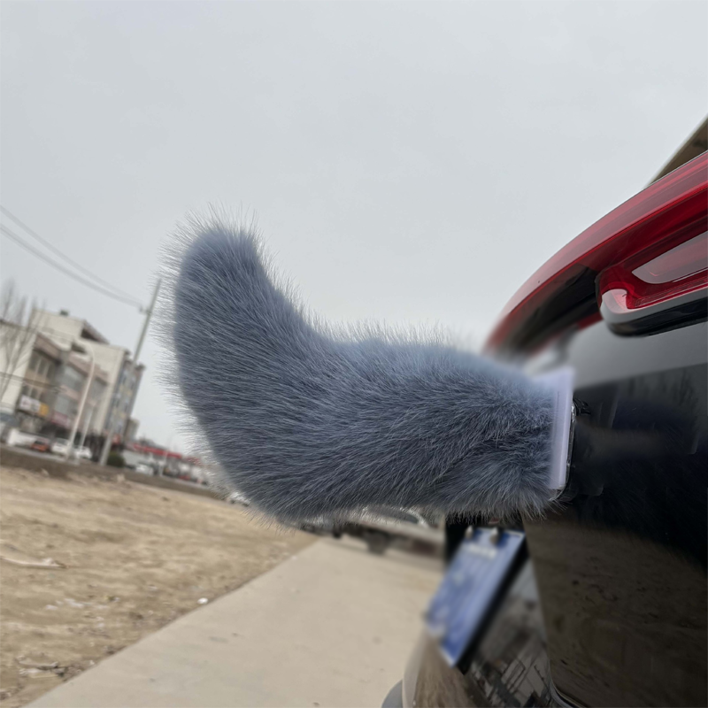 ⏳Limited-time 50% off 🚗🐾 Remote Control Electric Car Tail – Make Your Car Stand Out