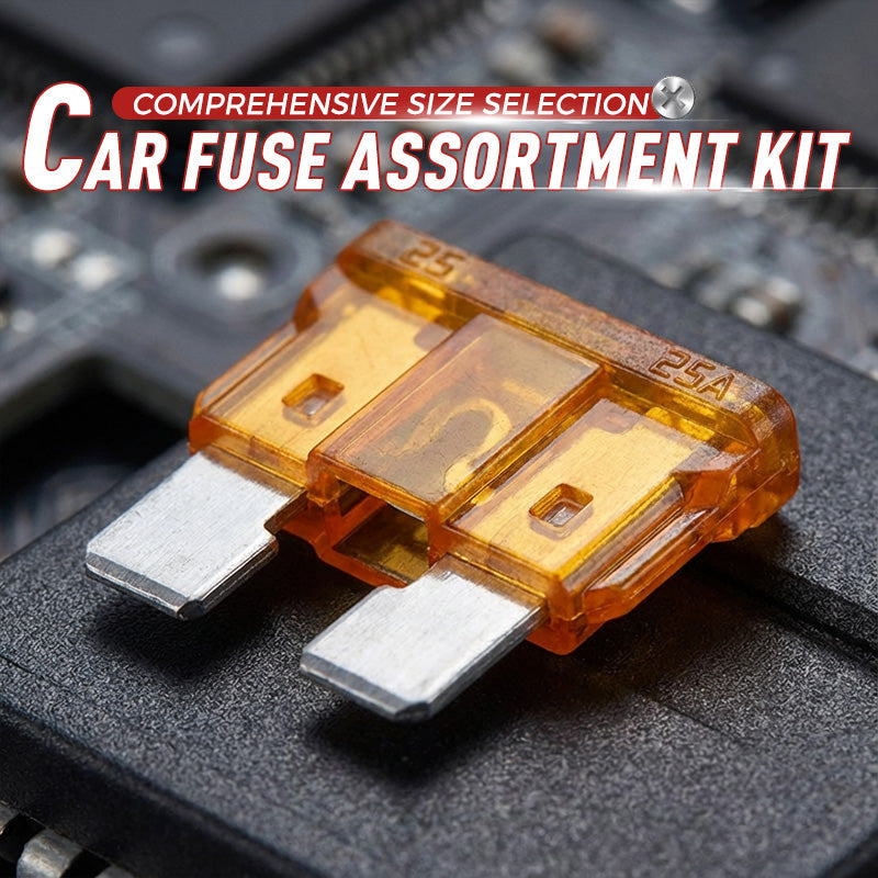 🔌300-Piece Car Fuse Kit | All Common Types • In a Storage Box