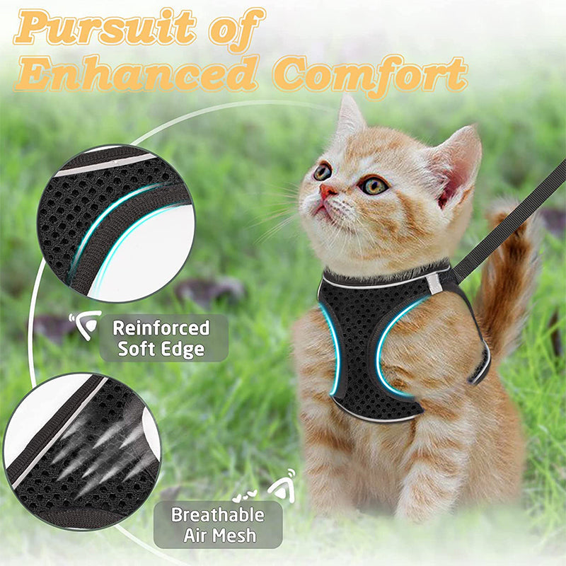 Reflective Mesh Harness and Leash Set for Cats & Small Dogs