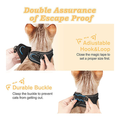 Reflective Mesh Harness and Leash Set for Cats & Small Dogs