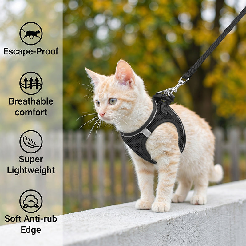 Reflective Mesh Harness and Leash Set for Cats & Small Dogs