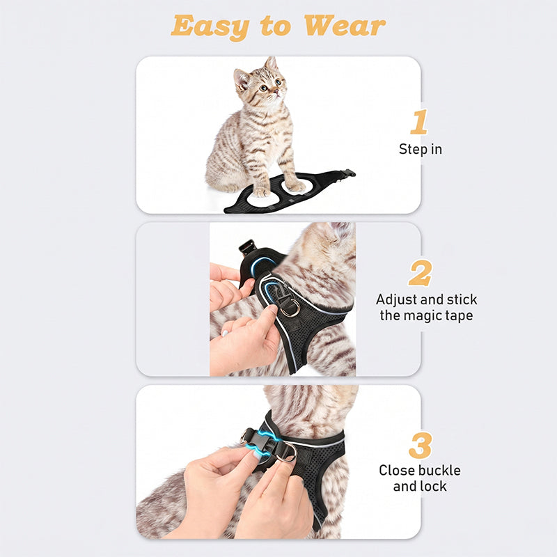 Reflective Mesh Harness and Leash Set for Cats & Small Dogs