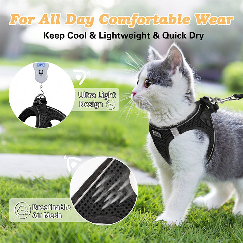 Reflective Mesh Harness and Leash Set for Cats & Small Dogs
