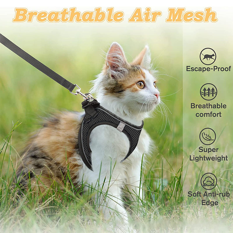 Reflective Mesh Harness and Leash Set for Cats & Small Dogs