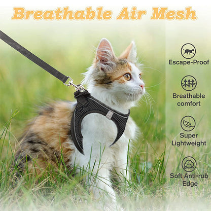 Reflective Mesh Harness and Leash Set for Cats & Small Dogs