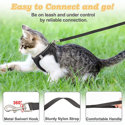 Reflective Mesh Harness and Leash Set for Cats & Small Dogs