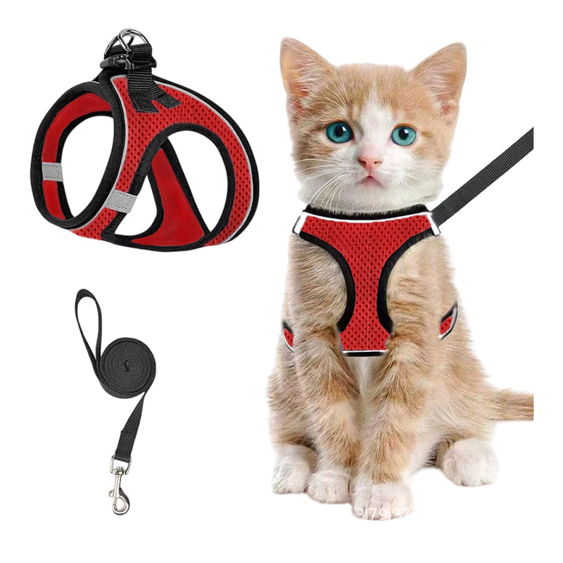 Reflective Mesh Harness and Leash Set for Cats & Small Dogs