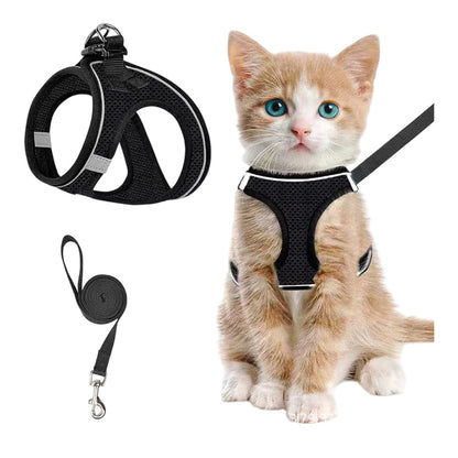 Reflective Mesh Harness and Leash Set for Cats & Small Dogs