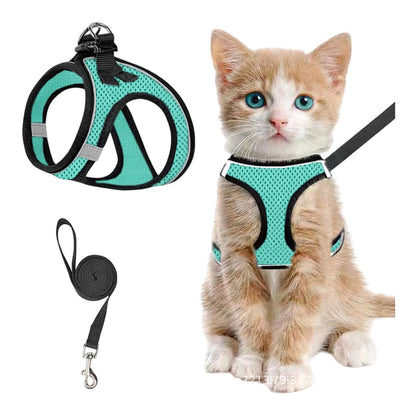 Reflective Mesh Harness and Leash Set for Cats & Small Dogs