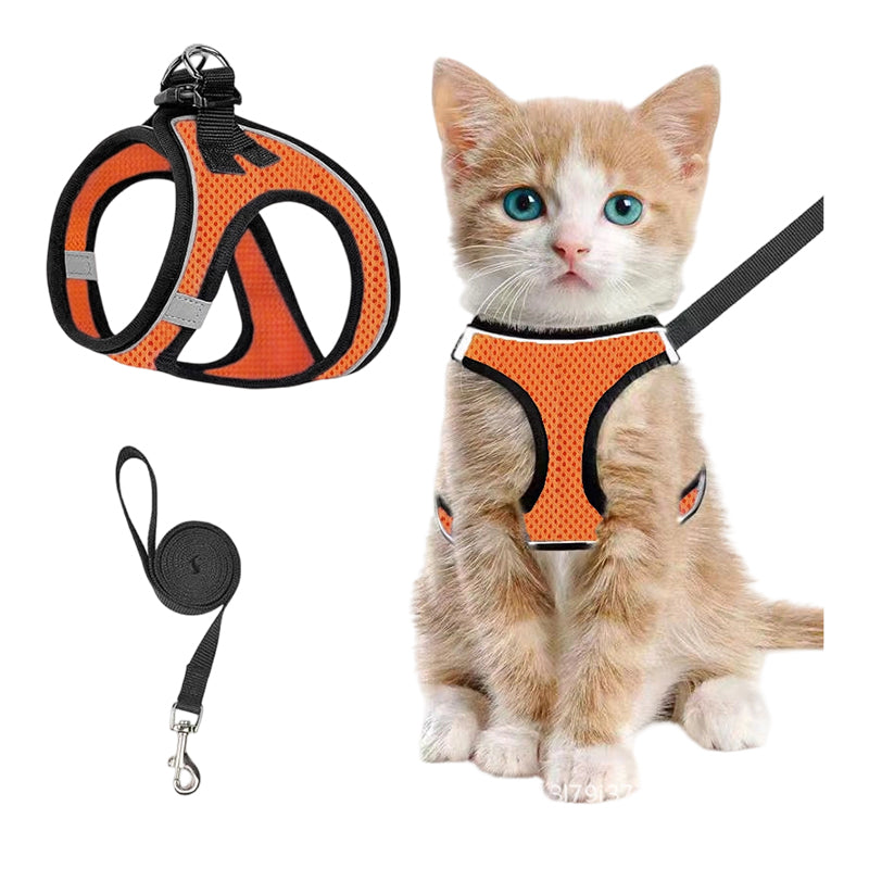 Reflective Mesh Harness and Leash Set for Cats & Small Dogs