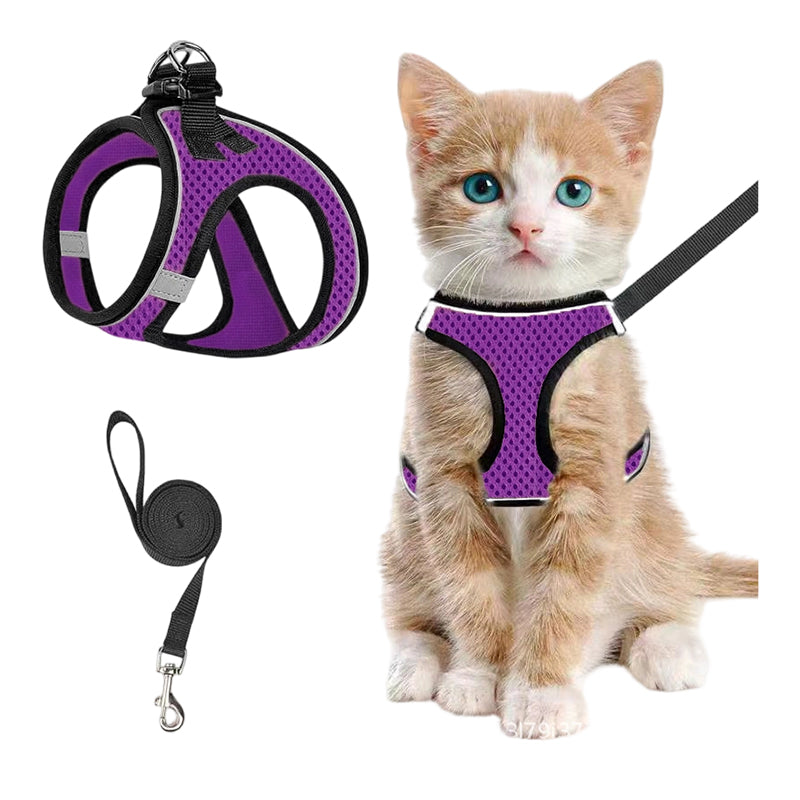 Reflective Mesh Harness and Leash Set for Cats & Small Dogs